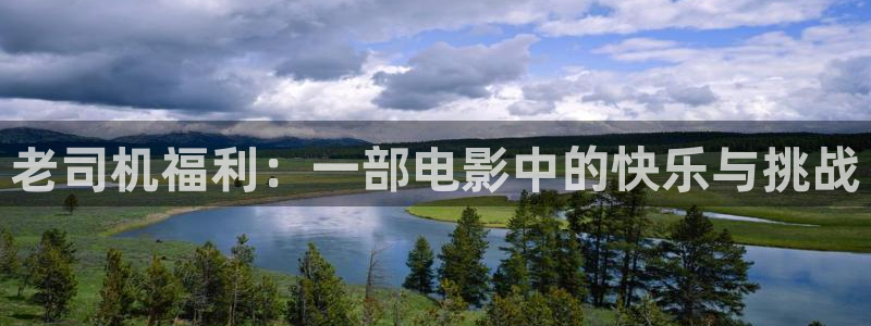第七影院第六影院：老司机福利：一部电影中的快乐与挑战