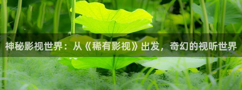 花花影院第七影院16：神秘影视世界：从《稀有影视》出发，奇幻的视听世界
