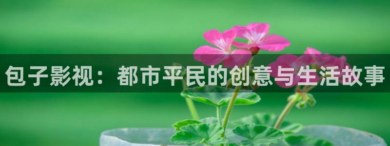 第七影院在线观看：包子影视：都市平民的创意与生活故事