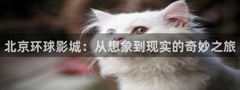 花花影院第七电影院：北京环球影城：从想象到现实的奇妙之旅