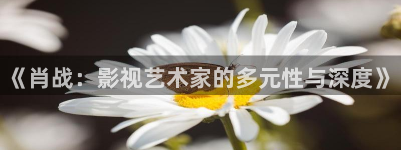 av第七影院：《肖战：影视艺术家的多元性与深度》