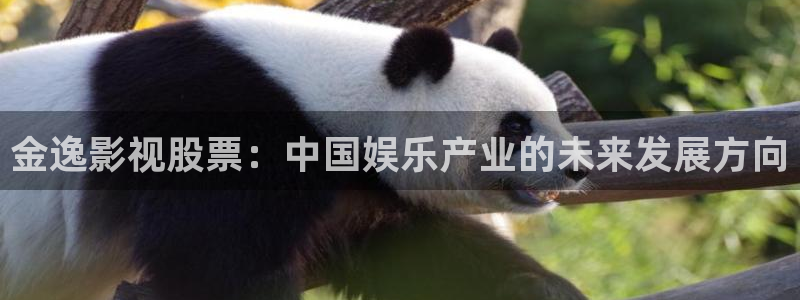 奔跑吧第七季免费观看完整版策驰影院：金逸影视股票：中国娱乐产业的未来发展方向