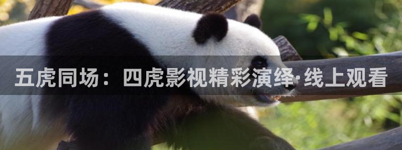 第七色影院最新网址：五虎同场：四虎影视精彩演绎·线上观看