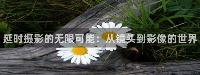 第七影院网：延时摄影的无限可能：从镜头到影像的世界